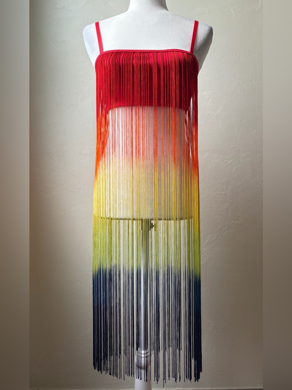 Current Mood Good Times Roll Rainbow Fringe Bra Top S